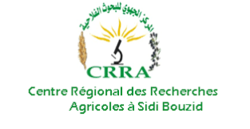 CRRA Sidi Bouzid
